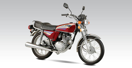 新陵跨骑车系列CG125(1)摩托车 CG125(1)