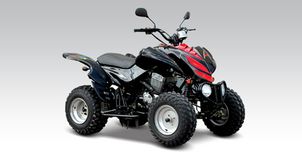 新陵沙滩车系列AXV250沙滩车 AXV250