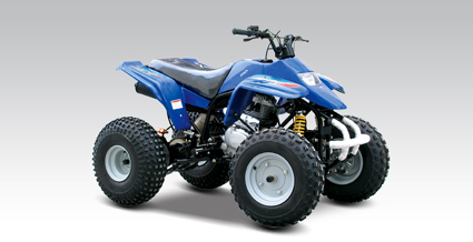 新陵沙滩车系列AXV150沙滩车 AXV150