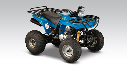 新陵沙滩车系列AXV250沙滩车 AXV250