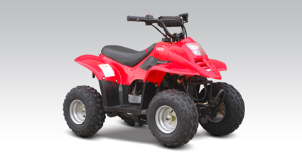 新陵沙滩车系列AXV50沙滩车 AXV50