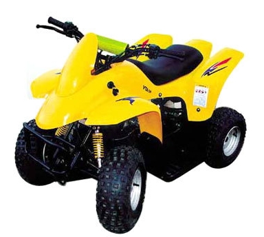 众星沙滩车系列ZX50ST-2沙滩车 ZX50ST-2