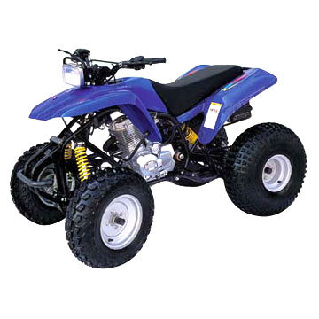 众星沙滩车系列ZX200ST-2沙滩车 ZX200ST-2