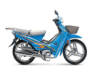 东方龙弯梁车系列DFL100-3B摩托车 DFL100-3B
