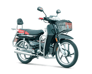 东方龙弯梁车系列DFL100-3摩托车 DFL100-3