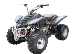 东方龙沙滩车系列ATV06沙滩车 ATV06