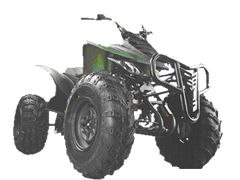 东方龙沙滩车系列ATV05沙滩车 ATV05