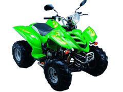 东方龙沙滩车系列ATV04沙滩车 ATV04