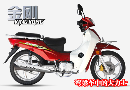达飞尔弯梁车系列金刚 110摩托车 金刚 110