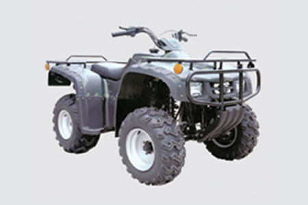 三迪SD250ST沙滩车 SD250ST
