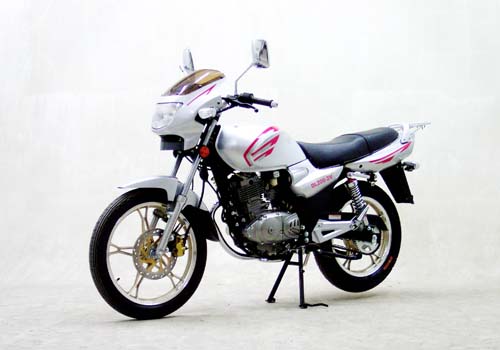大隆两轮骑式车系列DL200-2V型两轮摩托车 DL200-2V型两轮摩托车