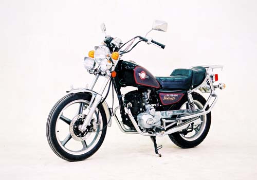 大隆两轮骑式车系列DL125-10G型两轮摩托车 DL125-10G型两轮摩托车