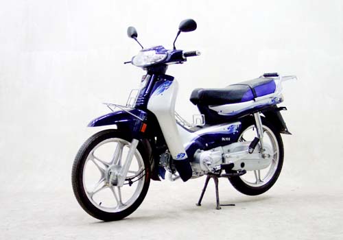 大隆两轮弯梁车系列DL100型两轮摩托车 DL100型两轮摩托车