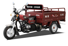 山东福田五星100ZH(LD)三轮摩托车 100ZH(LD)