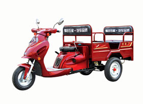 山东福田五星100ZY(G)客运三轮摩托车 100ZY(G)客运