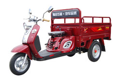 山东福田五星110ZY(N)三轮摩托车 110ZY(N)