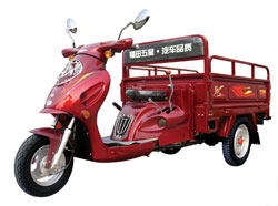 山东福田五星110ZY(ZG)三轮摩托车 110ZY(ZG)