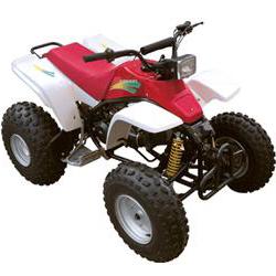 先锋沙滩车系列XF125ATV沙滩车 XF125ATV