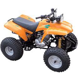 先锋沙滩车系列XF150ATV沙滩车 XF150ATV