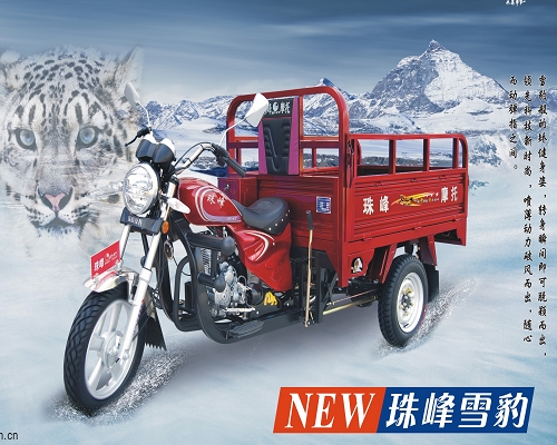 洛阳珠峰雪豹款三轮摩托车 雪豹款