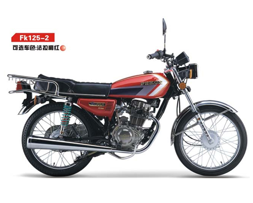 飞肯骑式车系列FK125-2(CG王)摩托车 FK125-2(CG王)