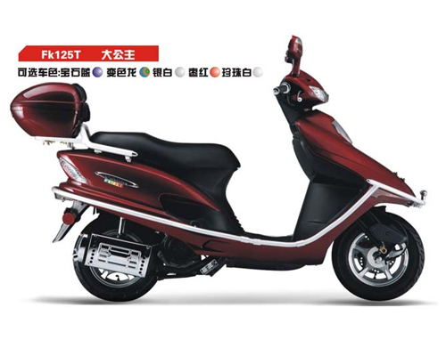 飞肯踏板车系列FK125T(大公主)摩托车 FK125T(大公主)