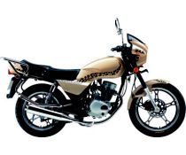 佛斯弟品牌骑式两轮系列FT125-5黄豹摩托车 FT125-5黄豹