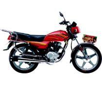 佛斯弟品牌骑式两轮系列FT125-20满天星红摩托车 FT125-20满天星红