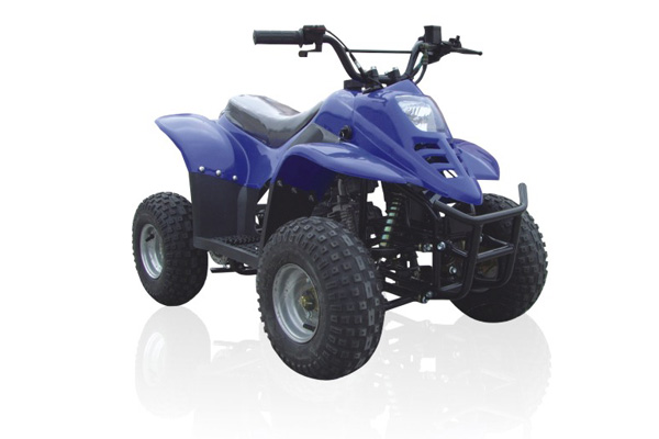 佛斯弟品牌特种四轮系列（ATV）FT50沙滩车 FT50