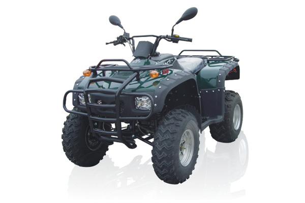 佛斯弟品牌特种四轮系列（ATV）FT200沙滩车 FT200
