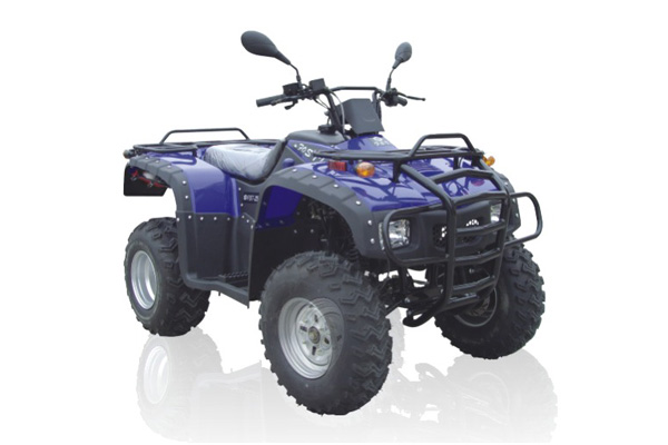 佛斯弟品牌特种四轮系列（ATV）FT250沙滩车 FT250