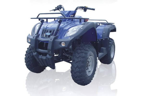 佛斯弟品牌特种四轮系列（ATV）FT250-ATV-2沙滩车 FT250-ATV-2